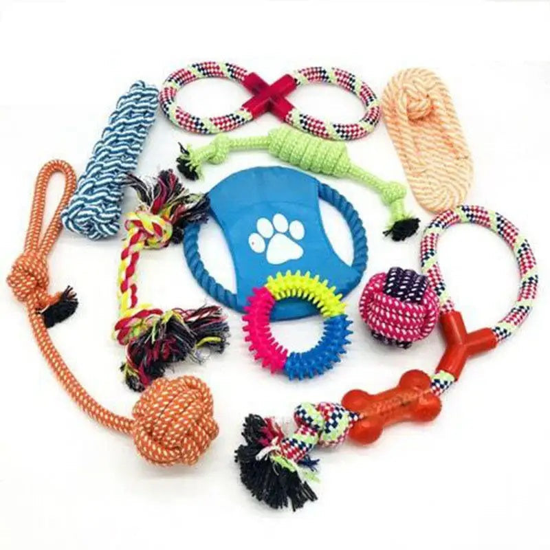 Dog Chew and Activity Bundle Set