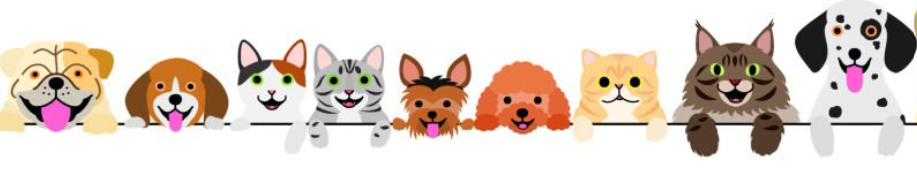 Pet Care